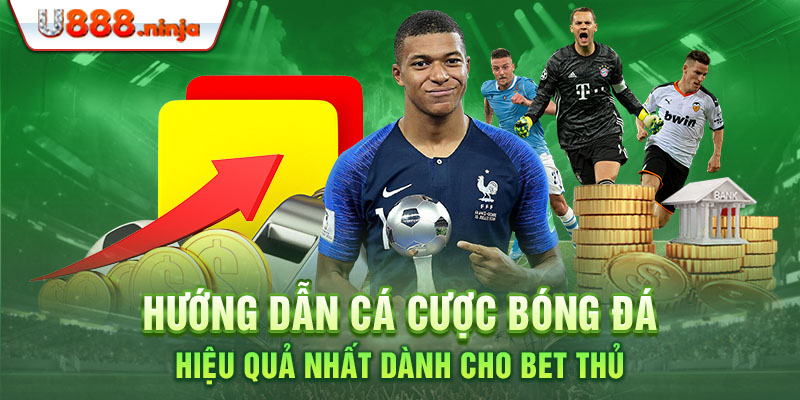 Hướng dẫn cá cược bóng đá hiệu quả nhất dành cho bet thủ